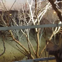 باغبانی هرس بیل زدن کود دادن سم پاشی