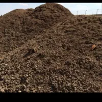 کود گاوی درجه یک