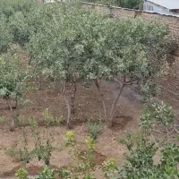 فروشی-قطعه-زمین-سند-دار