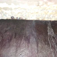 عایق نم ورطوبت|خدمات پیشه و مهارت|بندر انزلی, زنبق|دیوار