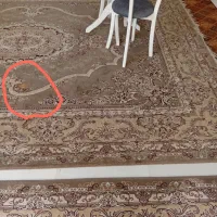 فرش گردویی 12متری دوعددباهم