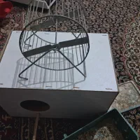 چرخ و فلک پرندگان زینتی