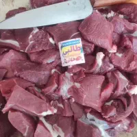 قصابی ابولفضل