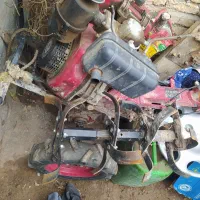 کشاورززی|خدمات باغبانی و درختکاری|مشگین شهر, |دیوار