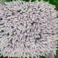 گرین وال رنگی گل رنگی یخی|گل مصنوعی|اصفهان, خواجو|دیوار