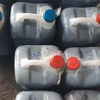 روغن هسته زیتون