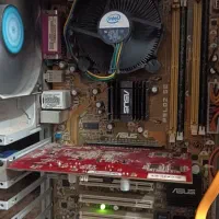 مادربرد ایسوس