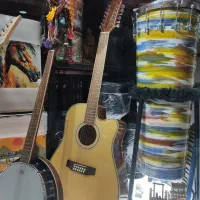 آکوستیک 12سیم