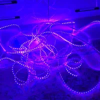 ریسه هفت رنگ