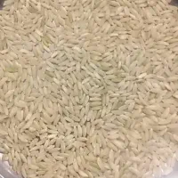 برنج چمپا صالحان