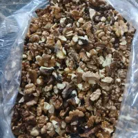 مغز گردوی ایرانی