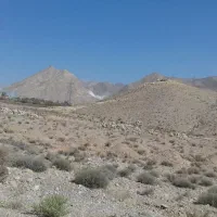 فروش فوری زمین مهدیشهر دربند|فروش زمین و ملک کلنگی|مهدی شهر, |دیوار