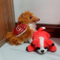 عروسک اورجینال خارجی|اسباب‌‌بازی|تهران, شیخ هادی|دیوار