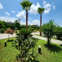 دوبلکس فرنیش استخردار۴۵۰ مترپایانکار/۷میلیاردنوشهر|فروش خانه و ویلا|رویان, |دیوار