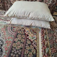 تعدادی‌بالش وتشک نو