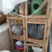 کجه چوبی گنجه