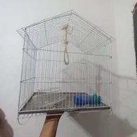 قفس پرنده|لوازم جانبی حیوانات|بندرعباس, |دیوار