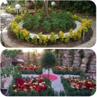 خدمات باغبانی کاشت گل و گیاه خاک گلدون گل باغچه|خدمات باغبانی و درختکاری|تهران, سهروردی|دیوار