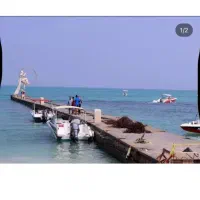تور تفریحی بانوان