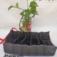 نظم دهنده کشو