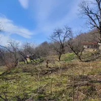 زمین ب متراژ ۴۷۰۰ ویو ابدی