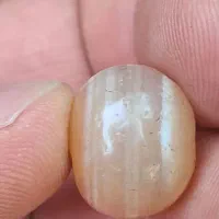 مهره سلیمانی