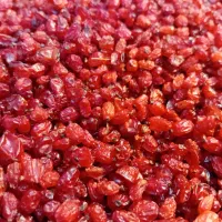 زعفران وزرشک|خوردنی و آشامیدنی|شیراز, شهدای شهرک سعدی|دیوار