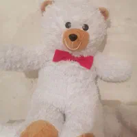 خرسی های جذاب