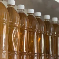 خشکبار ، شیره انگورخانگی، رب انار خانگی، بنه|خوردنی و آشامیدنی|کاشمر, |دیوار