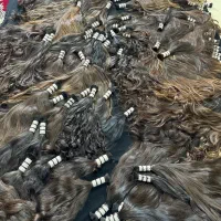 خریدار موی طبیعی بانوان|خدمات آرایشگری و زیبایی|رشت, سعدی (تختی)|دیوار