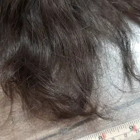 موی طبیعی سالم|آرایشی، بهداشتی، درمانی|ری, سرتخت|دیوار