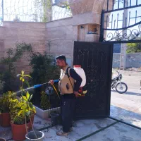 سمپاشی باغبانی|خدمات باغبانی و درختکاری|پردیس, فاز ۲|دیوار