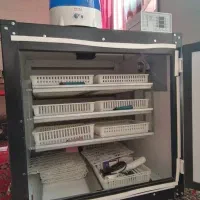 دستگاه جوجه کشی اسکندری|لوازم جانبی حیوانات|شیراز, شهرک مهدی‌آباد|دیوار