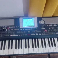 کرگ پیا ۸۰۰|پیانو، کیبورد، آکاردئون|بوئین زهرا, |دیوار