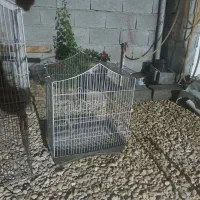 فروش قفس|لوازم جانبی حیوانات|اهرم, |دیوار