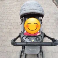 کالسکه دلیجان