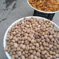 گردوی تویسرکان|خوردنی و آشامیدنی|قم, پردیسان|دیوار