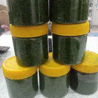 دلار نمک سبز