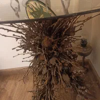 میز چوبی بدون شیشه|مبلمان خانگی و میز عسلی|تهران, صادقیه|دیوار