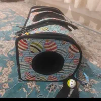 کیف گربه|لوازم جانبی حیوانات|کیش, |دیوار