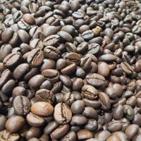 تولید و روست قهوه عمو هاشم