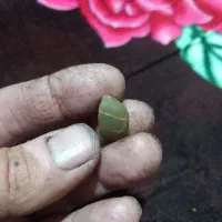 نگین های سنگی با سختی بالا|جواهرات|خاوران, |دیوار