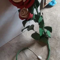 گل شب چراغ