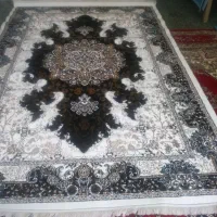 نقد نقد