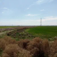 فروش زمین کشاورزی|فروش دفتر صنعتی، کشاورزی، تجاری|آبیک, |دیوار