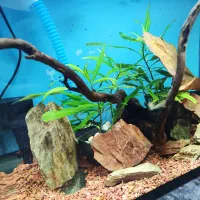 آکواریوم شیشه خم با لوارم در حد نو|ماهی|خسروشاه, |دیوار