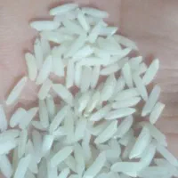 برنج صدری موجود است|خوردنی و آشامیدنی|رودبنه, |دیوار