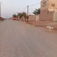 زمین-فروشی-ناصرآباد-فاز-جدید