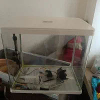 اکواریوم نو درجه یک