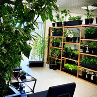 درآمد رویایی زندگی رویایی